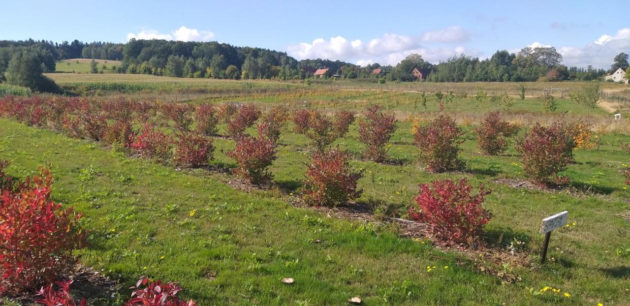 E Berry Farm - Slow Life Kaluzna Buitenkant foto